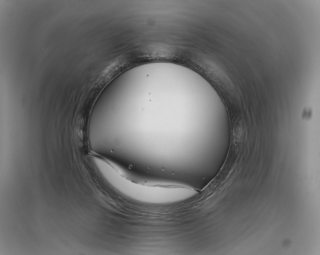 X0000097300264200802291820