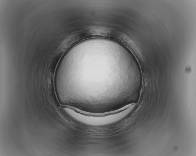 X0000097300265200802291820