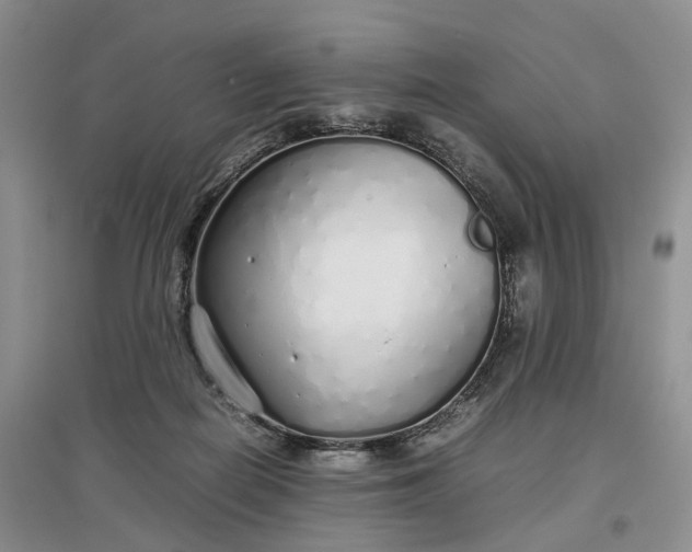 X0000097300266200802291820