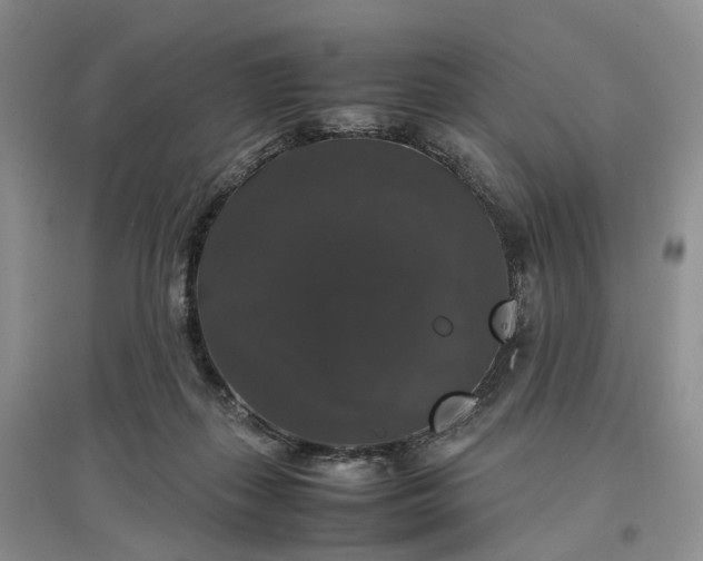 X0000097300267200802291820