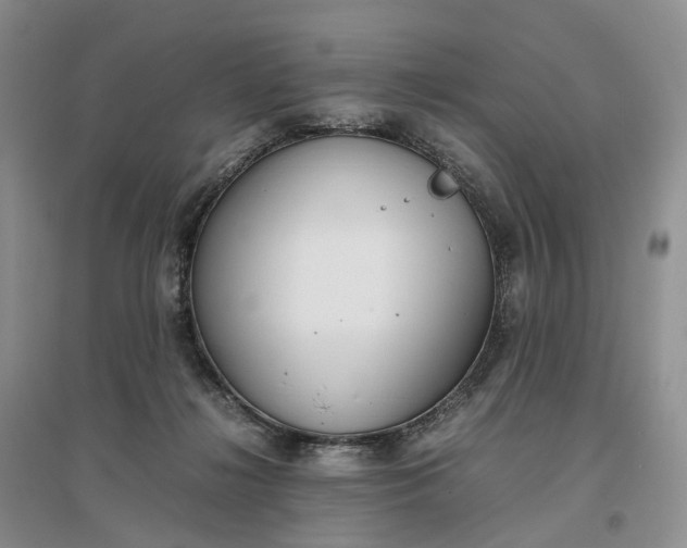 X0000097300268200802291820