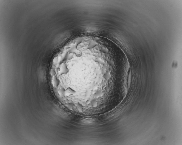 X0000097300269200802291820