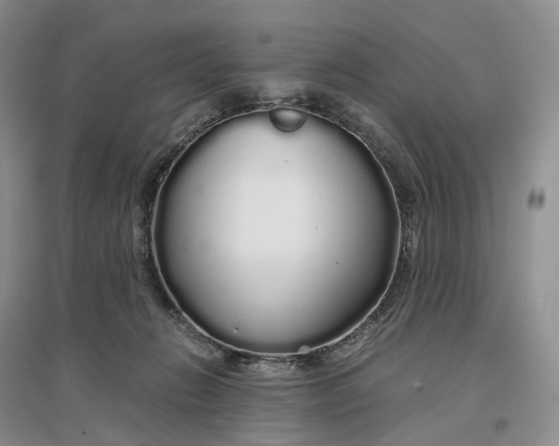 X0000097300270200802291820