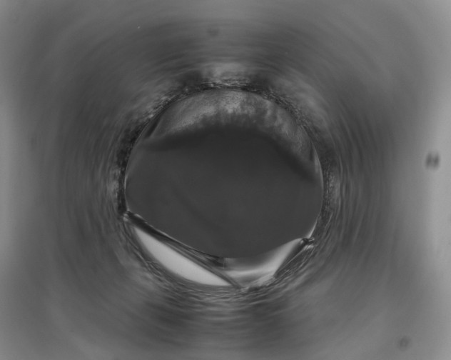 X0000097300271200802291820