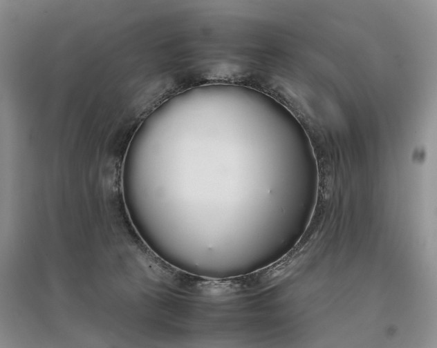 X0000097300273200802291820