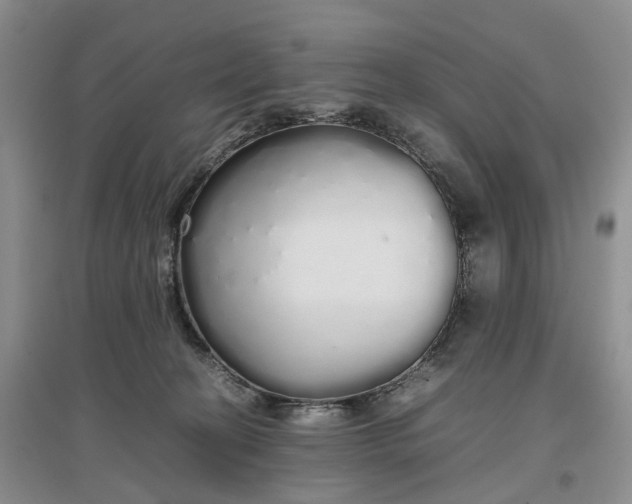 X0000097300274200802291820