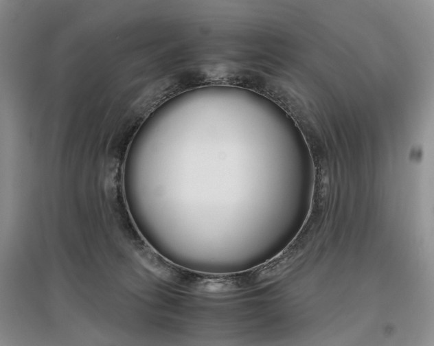 X0000097300275200802291820