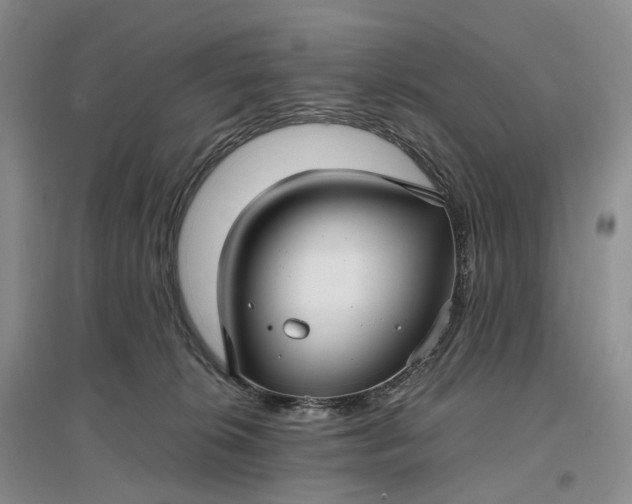 X0000097300276200802291820