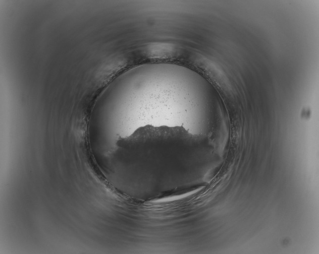 X0000097300277200802291820