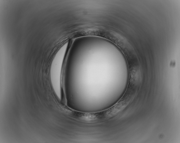 X0000097300278200802291820