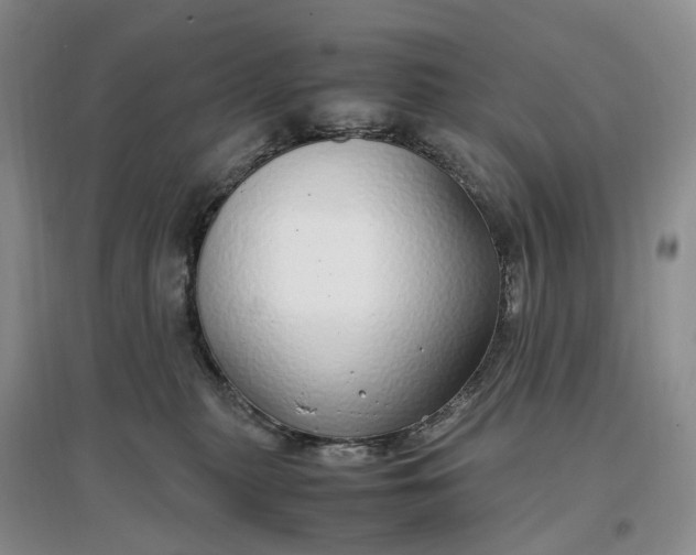 X0000097300279200802291820