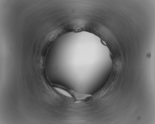 X0000097300280200802291820