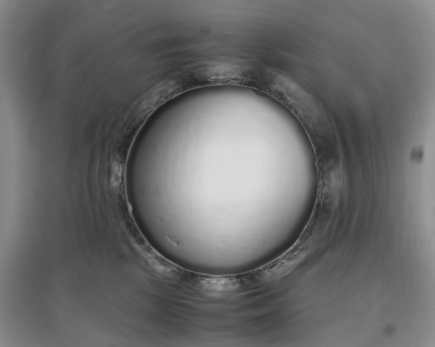 X0000097300281200802291820