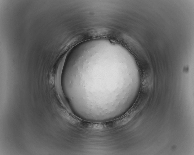 X0000097300282200802291820