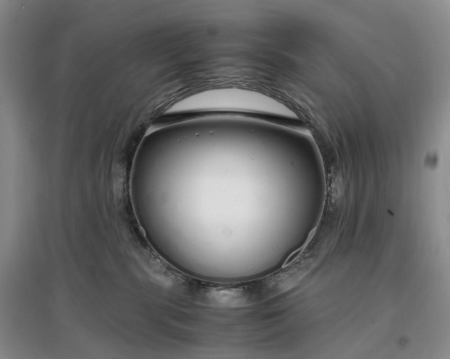 X0000097300283200802291820