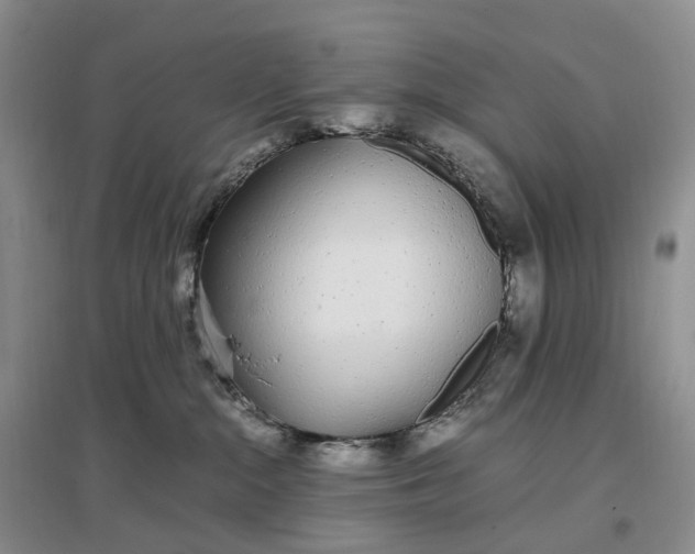 X0000097300284200802291820