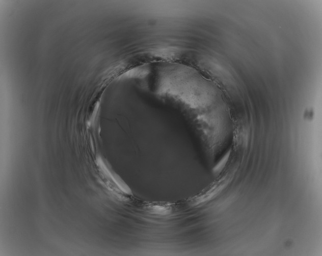 X0000097300285200802291820