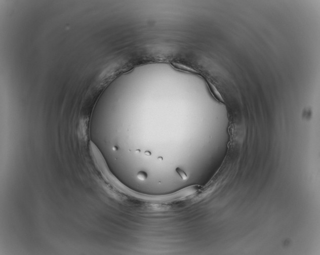 X0000097300286200802291820