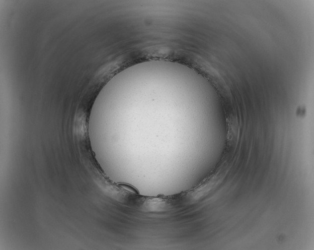 X0000097300287200802291820