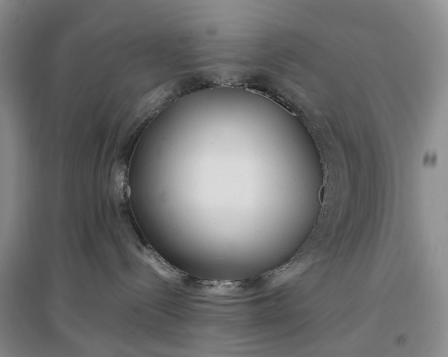 X0000097300288200802291820