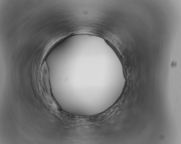 X0000097300289200802291819