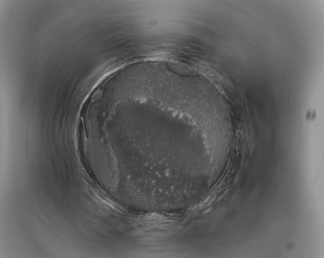 X0000097300290200802291819