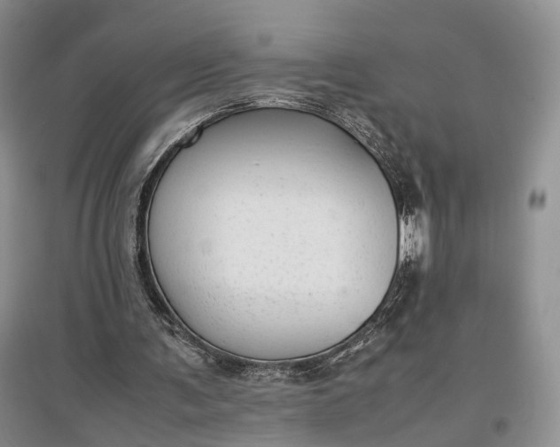 X0000097300291200802291819