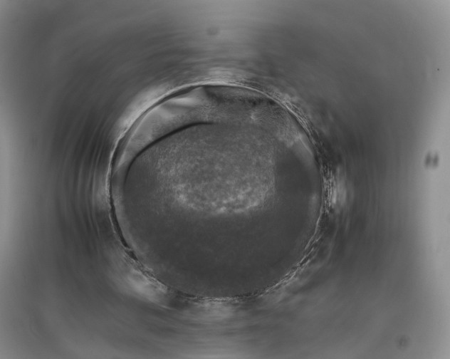 X0000097300292200802291819