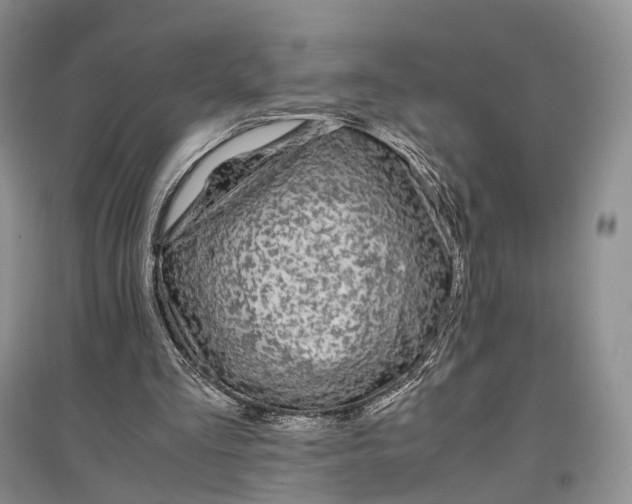 X0000097300293200802291819