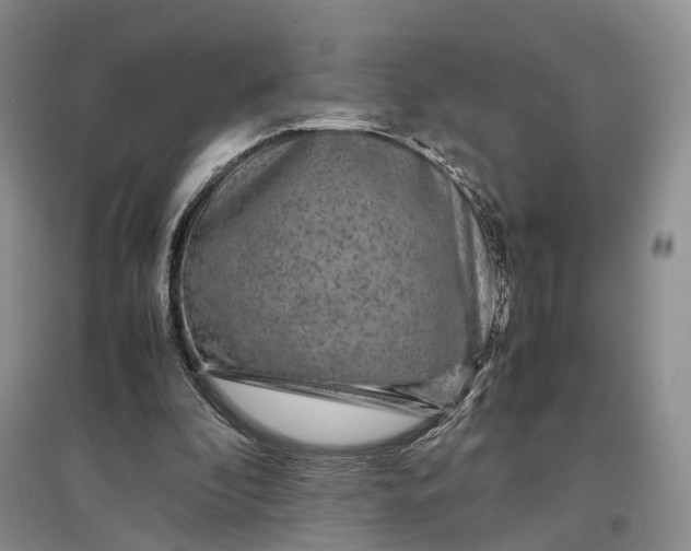 X0000097300296200802291819