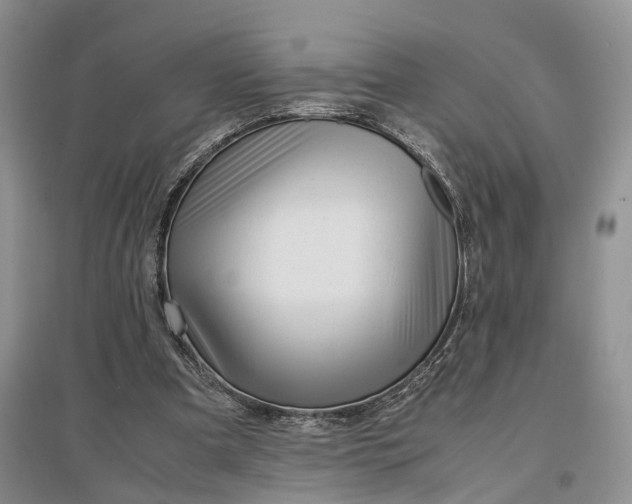 X0000097300297200802291819