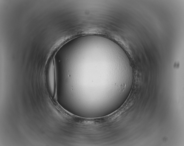 X0000097300298200802291819