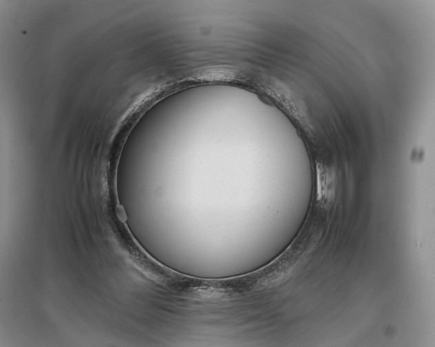 X0000097300300200802291819