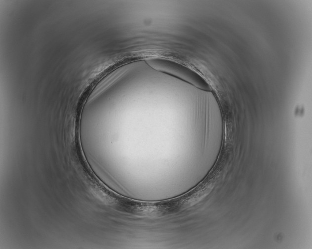 X0000097300301200802291819