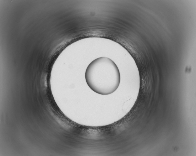 X0000097300302200802291819