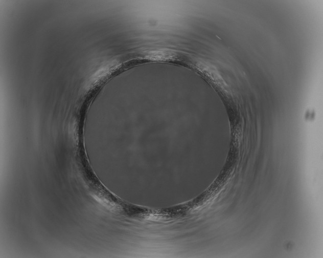 X0000097300303200802291819