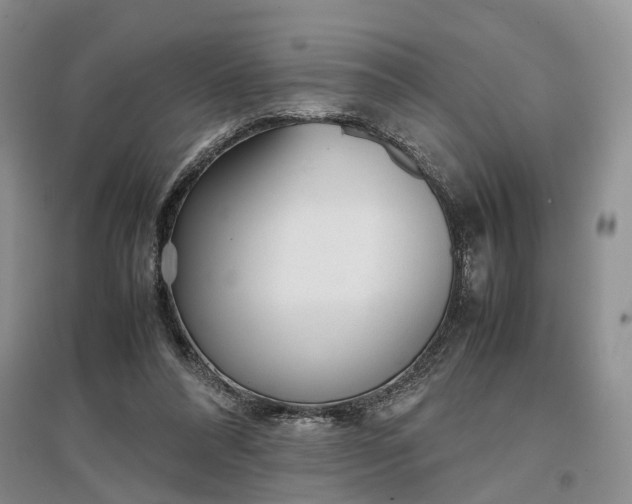 X0000097300304200802291819