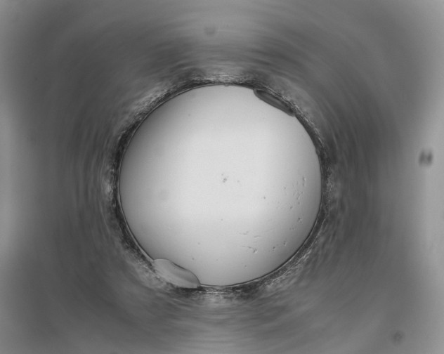 X0000097300305200802291819