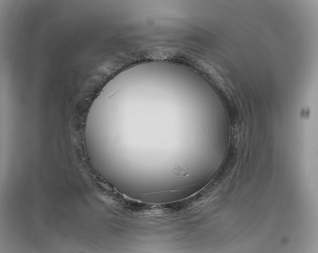 X0000097300307200802291819