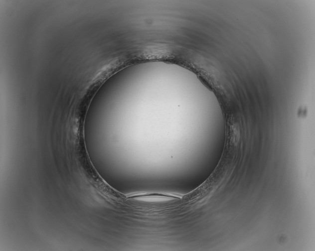 X0000097300308200802291819