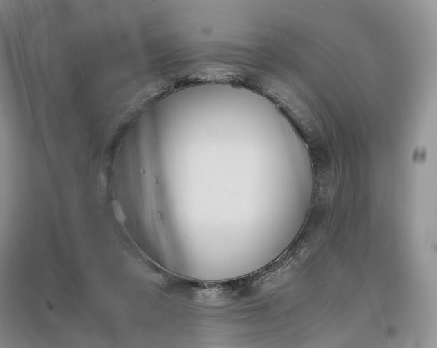 X0000097300309200802291819