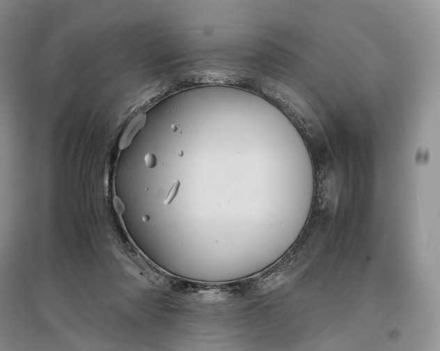 X0000097300310200802291819