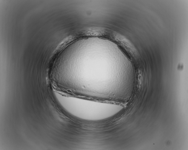 X0000097300312200802291819