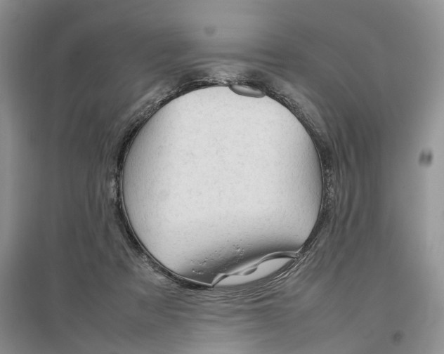 X0000097300313200802291819