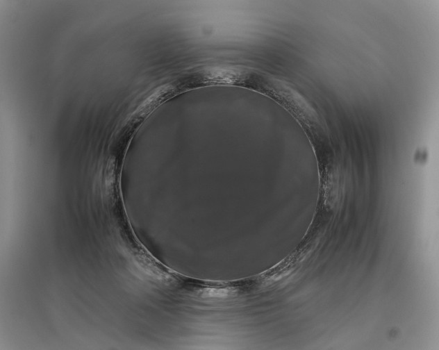 X0000097300314200802291819