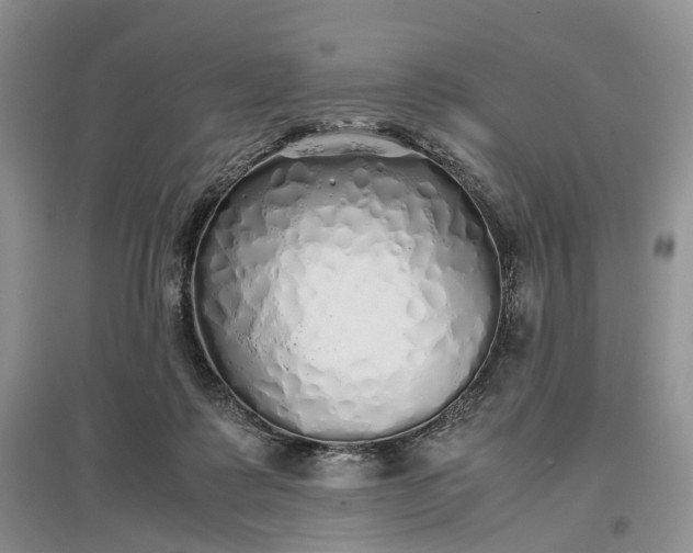 X0000097300315200802291819