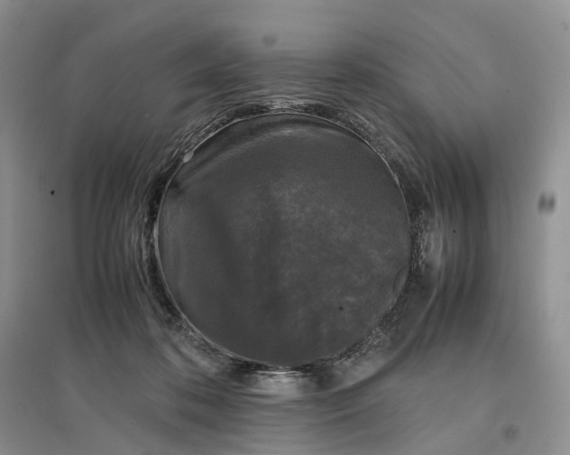 X0000097300316200802291819