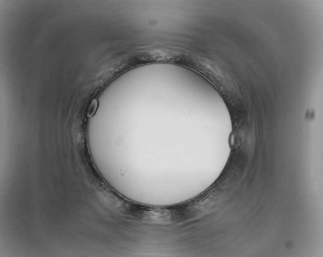 X0000097300317200802291819