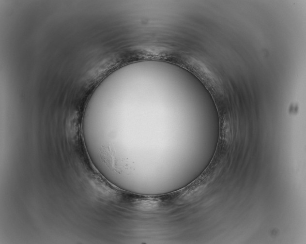 X0000097300318200802291819