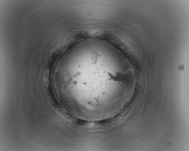 X0000097300319200802291819